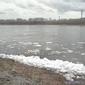 ice drift at Tom' river