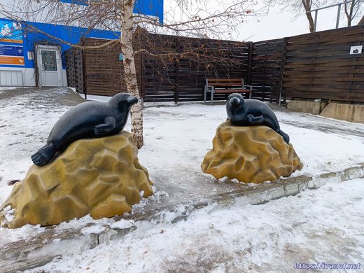 У нерпинария