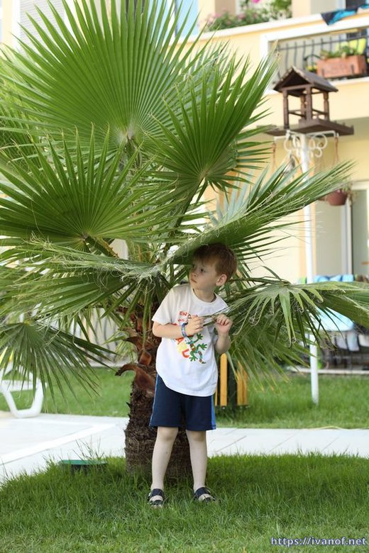 Image00014