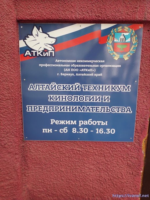 Здесь готовят предприимчивых собачек :)