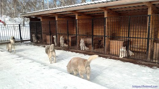 Вольеры