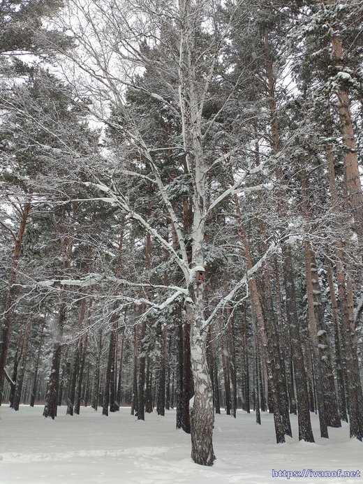 Скворечник